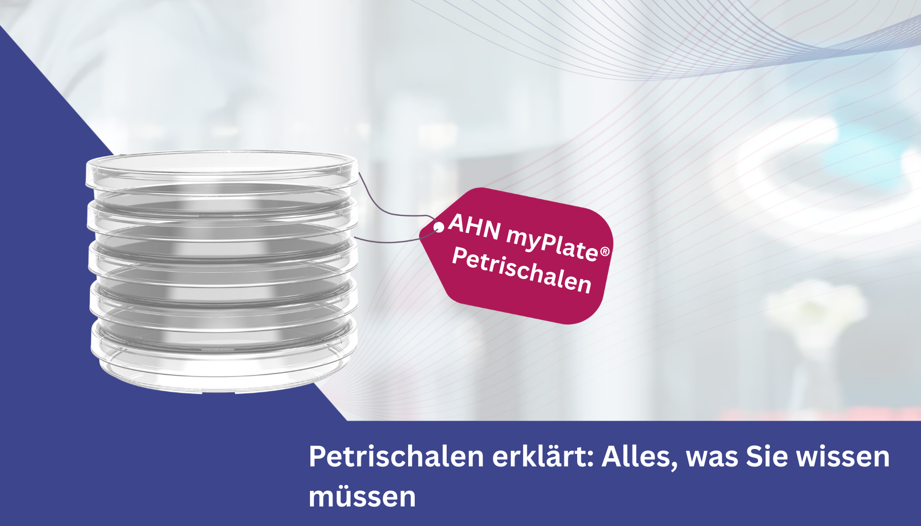 Petrischalen erklärt Alles, was Sie wissen müssen