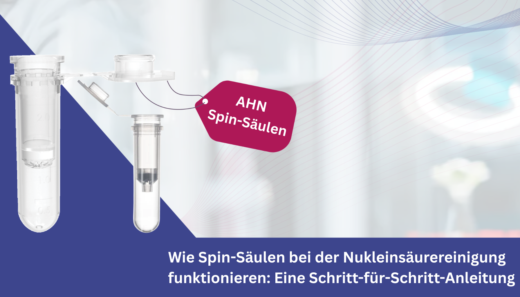 Wie Spin-Säulen bei der Nukleinsäurereinigung funktionieren Eine Schritt-für-Schritt-Anleitung