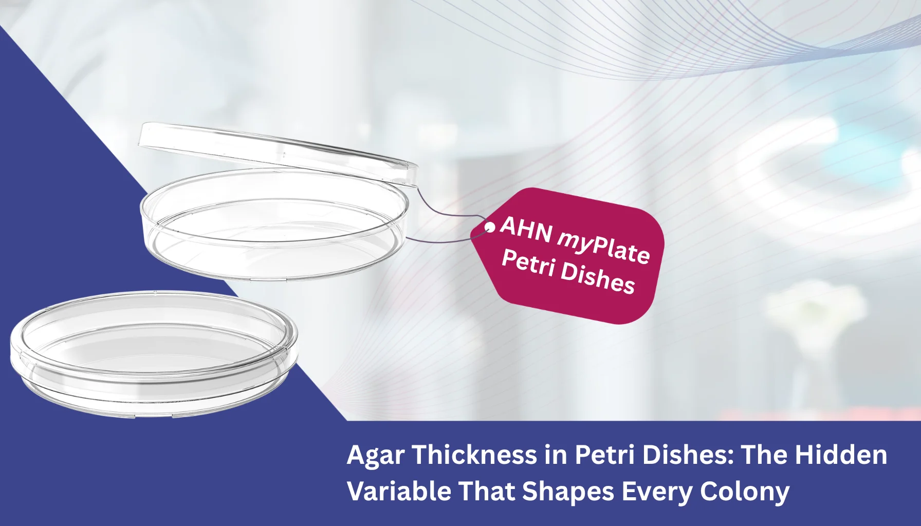Agar Thickness in Petri Dishes The Hidden Variable That Shapes Every Colony