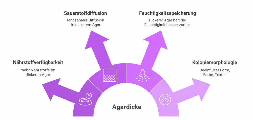 Agardicke